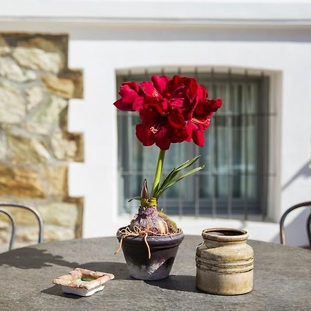Classic Villas Ouziel Thessaloníki Ngoại thất bức ảnh